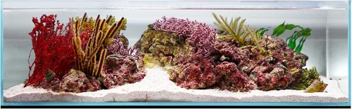 Miniatura 22 de UNS Acuario Ultra Claro Sin Borde - 25.6GAL 97.2L - 23.62x14.17x17.71 60x36x45 CM, Grosor de Vidrio de 6mm, Incluye Alfombrilla Nivelante