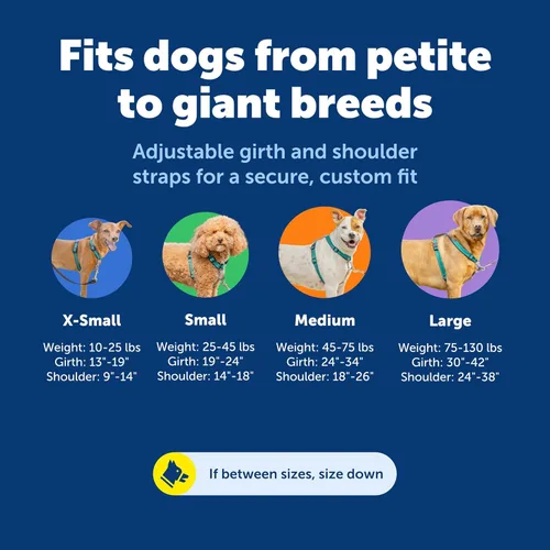 Miniatura 5 de PetSafe Arnés 3 en 1 – Cómodo arnés de pecho para perro fácil de caminar con accesorio de correa frontal para reducir tirones, asfixia y arcadas
