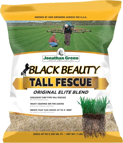 Miniatura 9 de Jonathan Green 40318 Black Beauty Semilla de césped