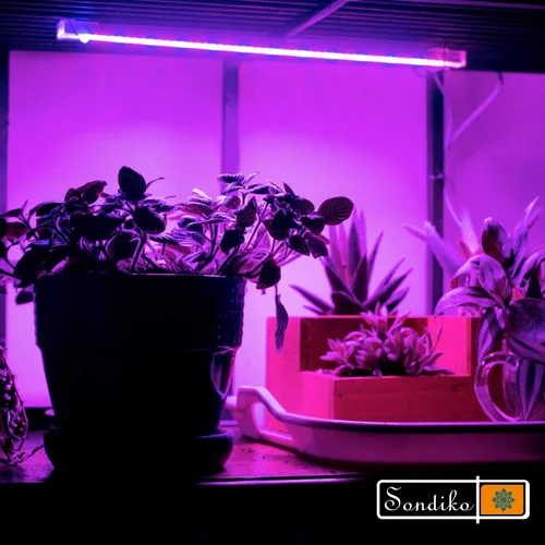 Miniatura 5 de Sondiko Tira de luz LED de crecimiento, encendido y apagado automático todos los días luz de cultivo con controlador mejorado, 48 LED, 4 niveles