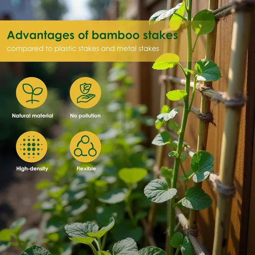 Miniatura 4 de Cambaverd Varillas de bambú para plantas, estacas de bambú de 2 pies para jardinería interior, estacas para plantas en maceta, mini árboles, estacas
