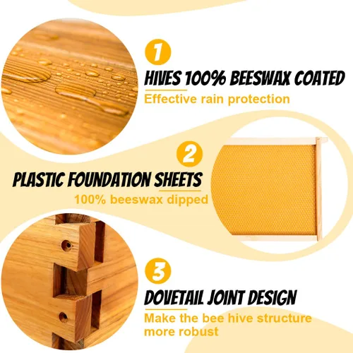 Miniatura 4 de Honey Lake Caja mediana de 10 marcos para colmena de abejas, caja de abeja súper miel Langstroth sumergida en cera de abeja, incluye marcos