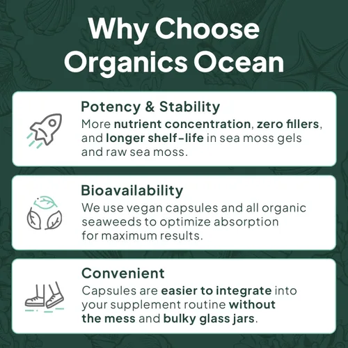Miniatura 6 de Organics Ocean Shilajit para hombres y mujeres – Suplemento Shilajit con vitamina B12, cromo y selenio para desafiar la edad, la energía, el apoyo
