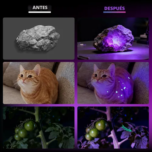 Miniatura 8 de Linterna UV de 365 nm recargable, linterna de luz negra con pantalla LCD, potentes luces ultravioleta para detección de orina de mascotas, curado