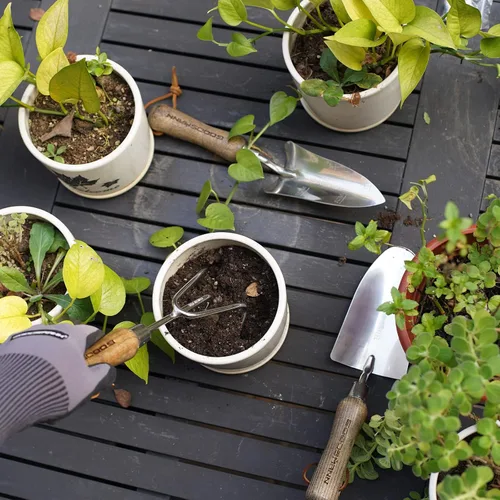 Miniatura 7 de GOODSMANN Juego de herramientas de jardín de 3 piezas de pala, trasplantador y cultivador, kit de jardinería de acero inoxidable resistente, pala