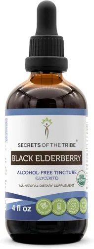 Black Elderberry USDA - Tintura orgánica | Extracto sin alcohol, gotas de hierbas de alta potencia, salud del sistema inmune | Hecho de saúco negro