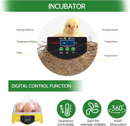 Miniatura 6 de Mini incubadora de huevos de 7 huevos con vista de 360°, kit educativo para eclosionar para niños, aulas y familias, control automático