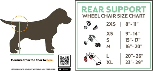 Miniatura 2 de Best Friend Mobility Silla de ruedas estándar para perros con soporte trasero FML Elite, grande