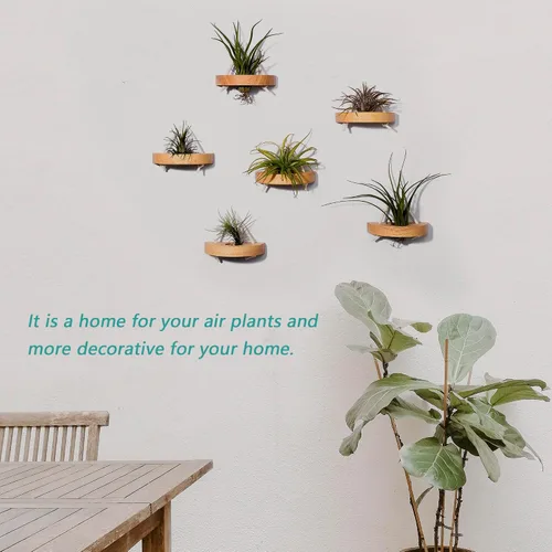 Miniatura 5 de soporte para plantas de aire, pequeño soporte de exhibición para plantas de aire. Montaje en pared para ahorrar espacio, decoración de pared.