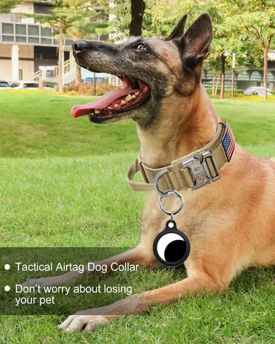 Miniatura 2 de Hotsky collar táctico para perros medianos y grandes, ajustable, resistente y de nailon, para entrenamiento militar, con asa y hebilla de metal