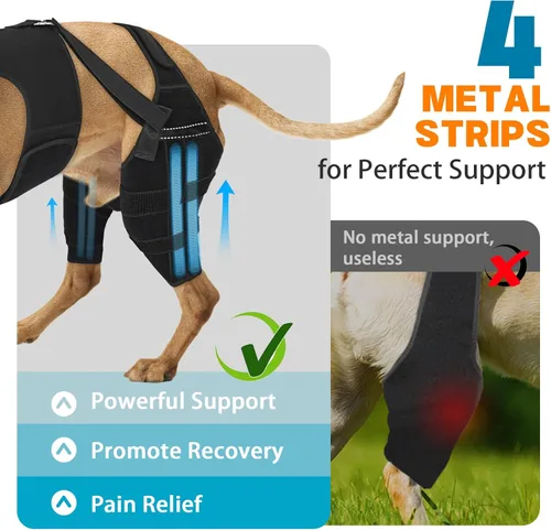 Miniatura 2 de Rodillera para perro para pierna trasera desgarrada, ajustable para pierna trasera con 5 estabilizadores, reduce el dolor, lesiones de ligamentos
