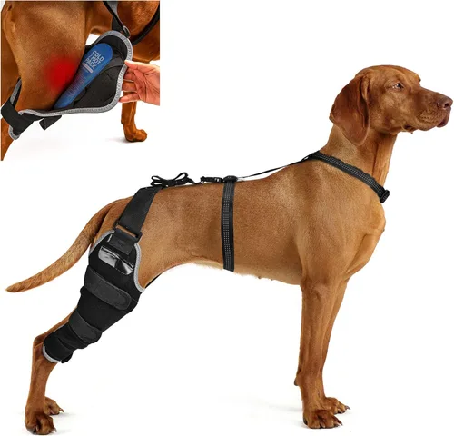 Miniatura 10 de Perro ACL Brace pata trasera – Soporte de pierna trasera ajustable transpirable con gel de compresión caliente/frío para artritis, hinchazón