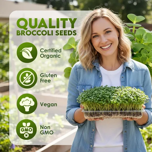 Miniatura 2 de Nature Jims Sprouts Semillas de brócoli orgánicas para germinar, certificadas sin OMG, ricas en sulforafano, semillas microverdes de crecimiento