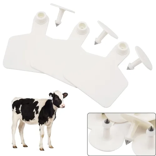 Miniatura 9 de Etiquetas de oído en blanco de plástico para ganado, etiquetas de identificación de animales para ganado, vacas, cerdos, cerdos, ovejas, cabras
