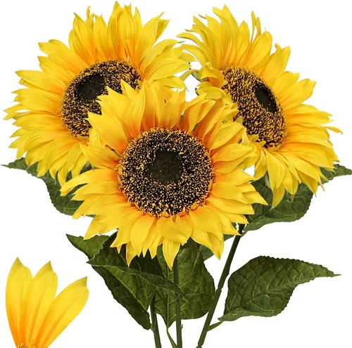 Miniatura 12 de Girasoles artificiales grandes de 9 pulgadas, flores artificiales de tallo largo de 33 pulgadas de alto, girasoles de seda gigantes con tallo
