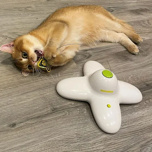 Miniatura 2 de ALL FOR PAWS Juguetes interactivos para gatos de mariposa flutter insecto gato juguete automático estimulante gatito juguetes enriquecimiento