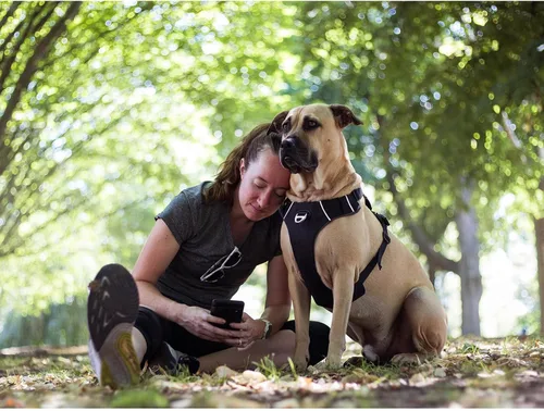 Miniatura 2 de Arnés para perro sin tirones con asa, fácil de caminar, 2 clips para correa, 3 hebillas sin estrangulamiento, acolchado suave para perros pequeños