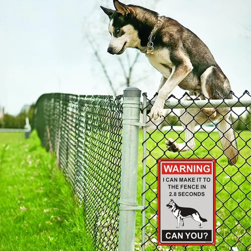 Miniatura 7 de Letrero de advertencia de pastor alemán con texto en inglés «Beware Of Dogs» con texto en inglés «I Can Make It to the Fence in 2.8 Sec. Letrero