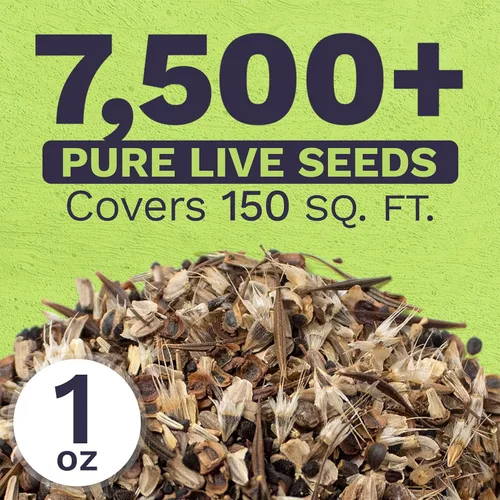 Miniatura 3 de Cut Flower Garden Seeds – Paquete extra grande de 1 onza – Más de 7,500 semillas frescas de flores silvestres polinizadas abiertas sin OMG – Anuales