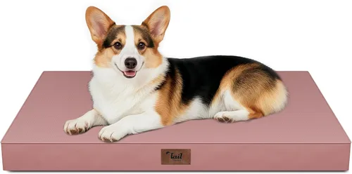 Miniatura 28 de Cama ortopédica de felpa para perros y cachorros medianos, camas impermeables para perros de 30 x 20 pulgadas con funda extraíble lavable, tapete