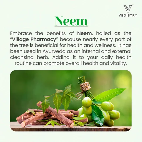 Miniatura 2 de Vedistry Suplementos de hojas de neem Tabletas de hojas de neem de 1100 mg que apoyan la piel clara, la desintoxicación y la salud inmunológica