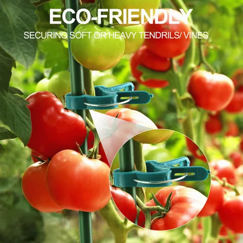 Miniatura 7 de Yinghezu 120 clips de soporte para plantas, flores y vides, clips de soporte para plantas de tomate de jardín para apoyar tallos, enredaderas