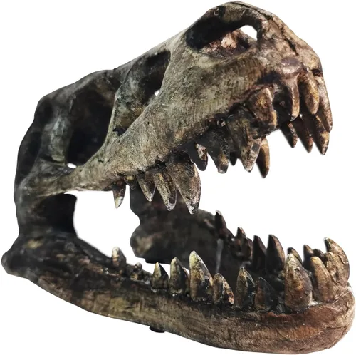 Cráneo de dinosaurio T-Rex huesos de resina para decoración de estantes de oficina en casa, escultura de cabeza de tiranosaurio realista, estatuilla