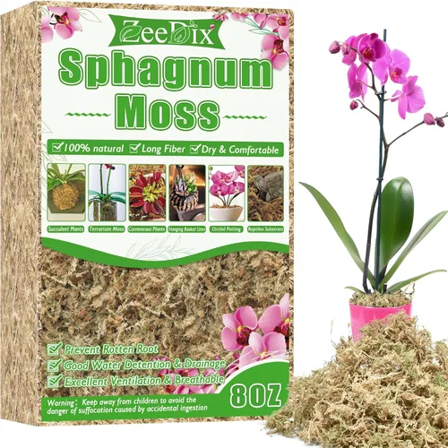 Miniatura 10 de ZeeDix 1.5 kg de musgo premium de turba sphagnum a granel, fibra larga seca para orquídeas, musgo de turba sphagnum para plantas