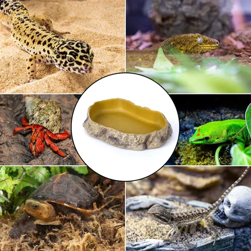 Miniatura 6 de REPTIZOO - Plato de comida para reptiles, terrario, cuenco de agua, cuenco de alimentación para reptiles y mascotas anfibios
