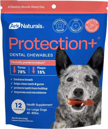 Ark Naturals, Protección de pasta de dientes sin escobillas Plus grande, 18 onzas