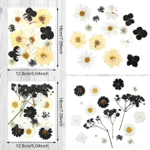 Miniatura 3 de Nuanchu Flores secas prensadas negras para manualidades, flores secas góticas, flores silvestres prensadas naturales a granel con pinzas para molde