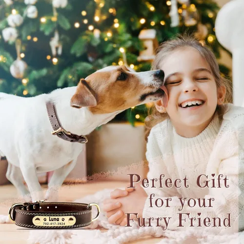 Miniatura 3 de Collar de perro personalizado – Collar de perro de cuero personalizado con placa de identificación grabable – Collar de identificación duradero