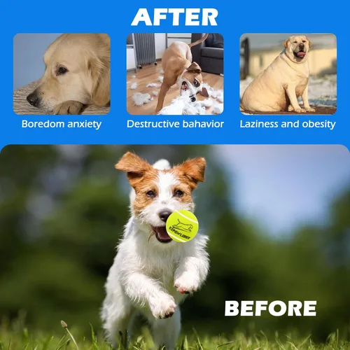 Miniatura 6 de EXPAWLORER Juguetes de tenis para perros, pelotas de tenis de juguete para perros de 2.5 pulgadas con chirriador, paquete de 12 pelotas interactivas