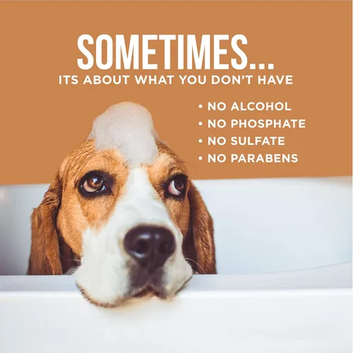 Miniatura 5 de Natural Rapport Spray desodorante para perros, el único aerosol de baño que los perros necesitan, el spray natural de colonia para gatos y perros