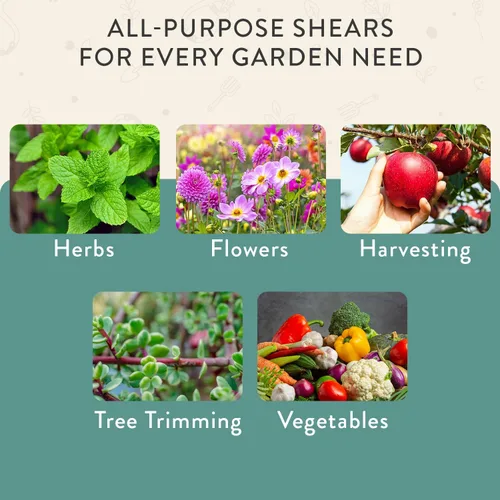 Miniatura 8 de Tijeras de podar Modern Sprout - Tijeras para cortar hierbas - Herramientas de jardinería ligeras con fácil bloqueo - Tijeras de jardín para cortar