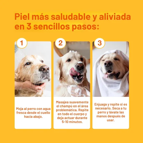 Miniatura 6 de Douxo S3 PYO Champú de clorhexidina para perros, champú medicado antibacteriano y antiséptico, tratamiento de infección por levaduras para perros