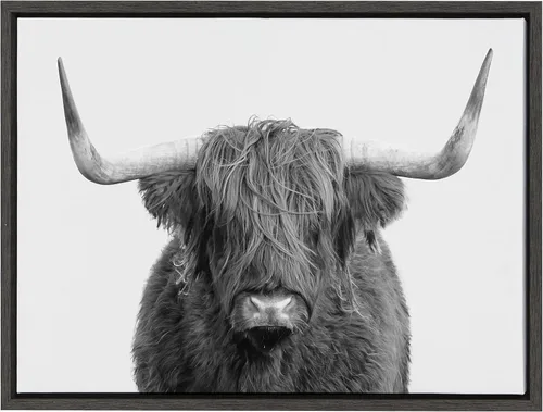 Kate and Laurel Sylvie B&W Highland Cow No. 1 - Lienzo enmarcado con retrato de Amy Peterson Art Studio; 18 x 24 pulgadas, color gris; arte rústico