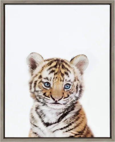 Kate and Laurel Sylvie - Lienzo enmarcado con retrato de tigre bebé de Amy Peterson, 18 x 24 pulgadas, color gris, adorable decoración de pared de