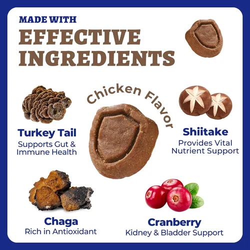 Miniatura 4 de 260 Bites - Hongo de cola de pavo para perros, inmune, intestino, piel, salud de las articulaciones, suplemento de hongos para perros - Cola de pavo