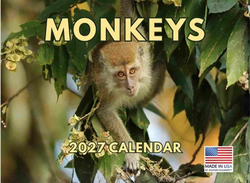Miniatura 53 de Calendario alpaca 2026, calendario mensual de pared de 12 meses Hecho en Estados Unidos.