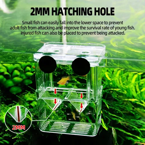 Miniatura 3 de Caja de cría para tanque de peces, caja de incubadora de vivero de acuario, caja de criador, divisor de aislamiento, cajas de eclosión para peces