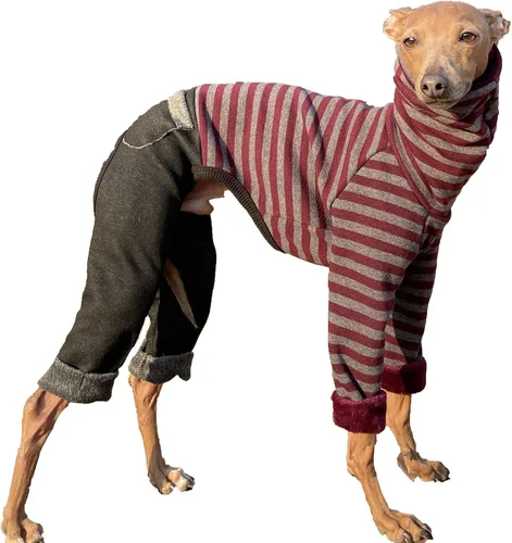 Miniatura 30 de D Doggy Star - Suéter de galgo italiano de cuello de tortuga, conjunto de mono de vellón cálido, ropa de Whippet para perro (XL, azul marino Pkt)