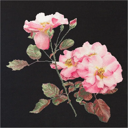 Thea Gouverneur - Kit de punto de cruz con cuentas - Rosa Leersum - Aida Black - 18 unidades - Kit de bordado para adultos - Hilos de bordado DMC y