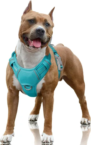 Miniatura 10 de BARKBAY Arnés para Perro Sin Tirones Talla Grande Arnés Reflectante para Perro con Clip Frontal y Asa de Control Fácil para Caminar Entrenar Correr