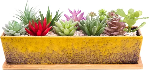 Miniatura 7 de ARTKETTY Macetas de suculentas - Macetas grandes para suculentas con drenaje, maceta de bonsái rectangular larga de 12 pulgadas con bandeja
