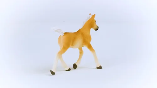 Miniatura 5 de Schleich Horse Club 2023 - Figura de juguete de caballos para niñas y niños Halflinger Foal Horse Horse Toy Figurine, a partir de 5 años