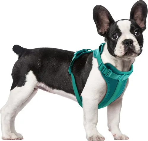 Miniatura 26 de Arnés ligero para perro sin tirones: arnés ajustable y duradero de malla transpirable con cojín suave y cómodo, para perros pequeños, medianos y Lila
