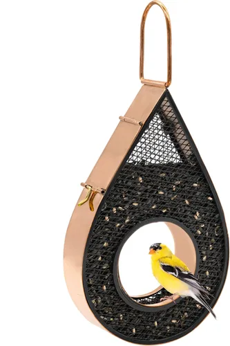 Miniatura 8 de Good Directions Comedero para pájaros con gotas de lluvia de cobre azul verde