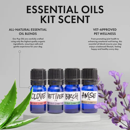 Miniatura 3 de Ink Oil - Kit de inicio de trabajo de aroma para cachorros I Kit de entrenamiento de aroma de perro I Complete Scentwork de nariz - Sabor de anís