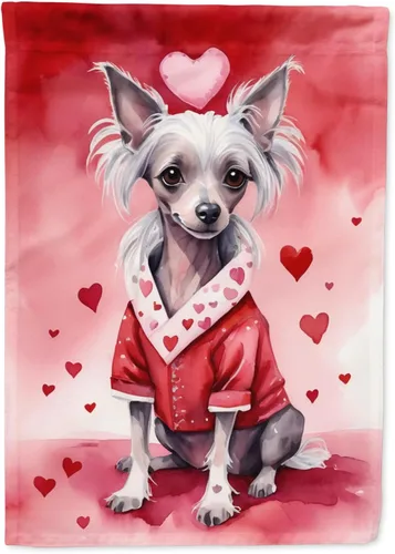 Miniatura 189 de Caroline's Treasures DAC5292CHF - Bandera de Border Collie My Valentine House para porche, grande, con manga para porche, para colgar en la pared